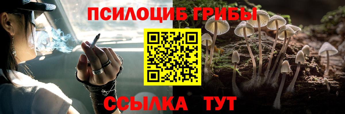 Псилоцибиновые грибы Magic Shrooms Можга