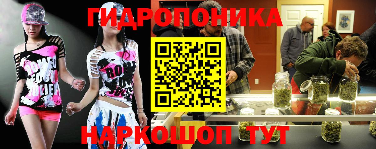 Бошки Шишки THC 21% Можга