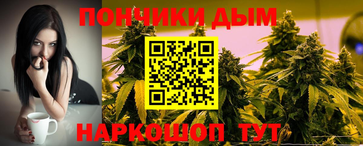Бошки марихуана Amnesia  Конопля Amnesia  Канабис SATIVA & INDICA  Можга  Вход с VPN 